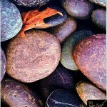 فرش کد 3107 فانتزی طرح سنگ دارای نخ پلی‌پروپیلن