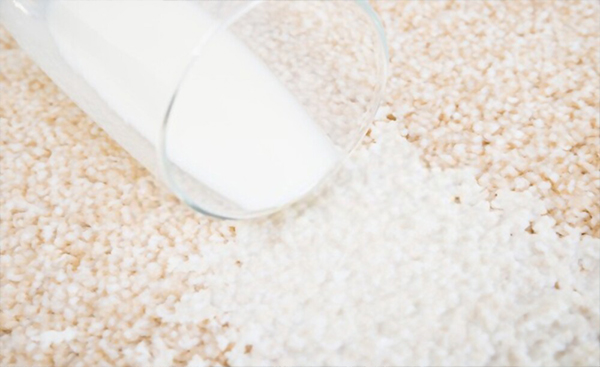 از بین بردن لکه و بوی شیر از روی فرش