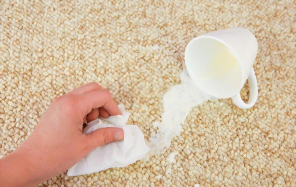 ریختن شیر بر روی فرش