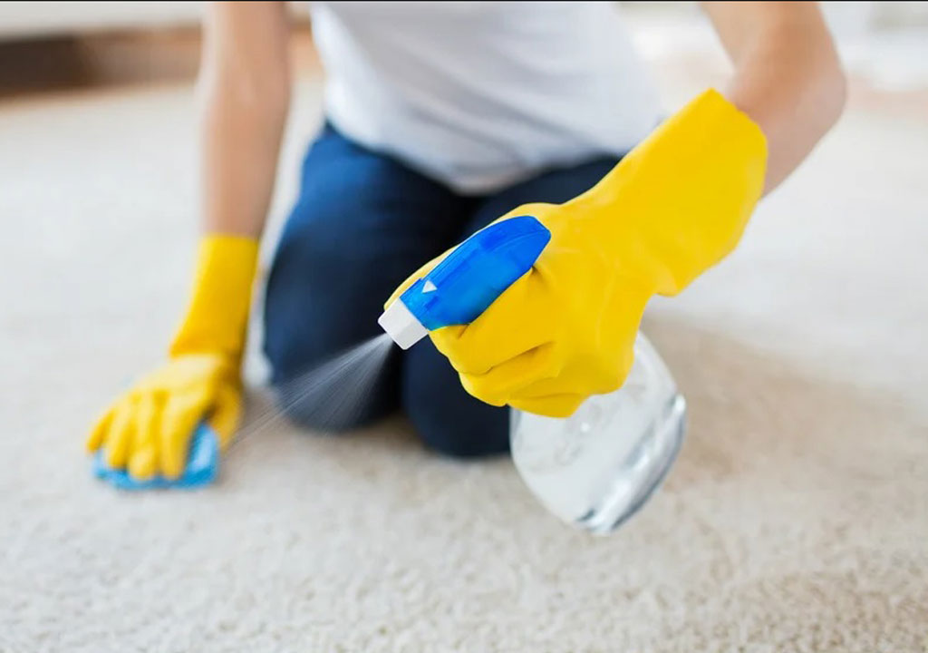 بهترین شوینده فرش